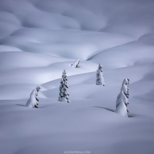 worlds top landscape photographers