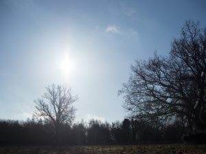 olympus 25mm 1.8 review