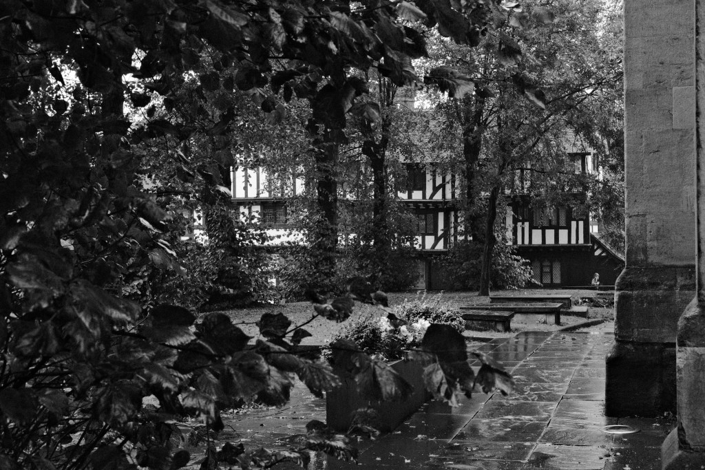Black and white Fuji XT5 photo 