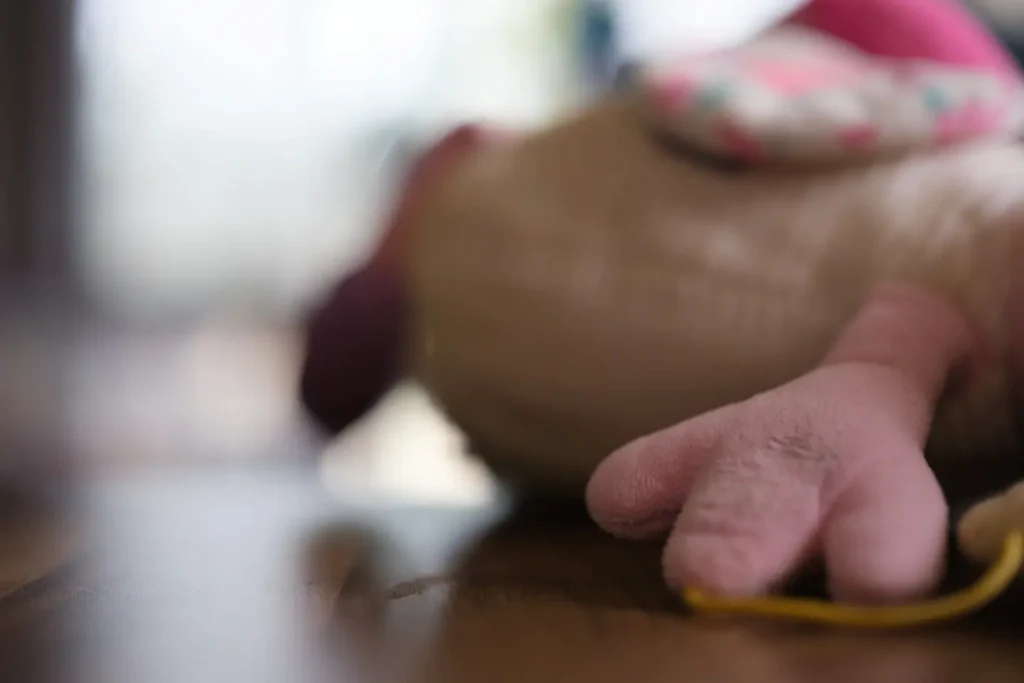 A photo taken with the Fujifilm 33mm 1.4 WR lens wide open at f/1.4 to show the bokeh of the lens.