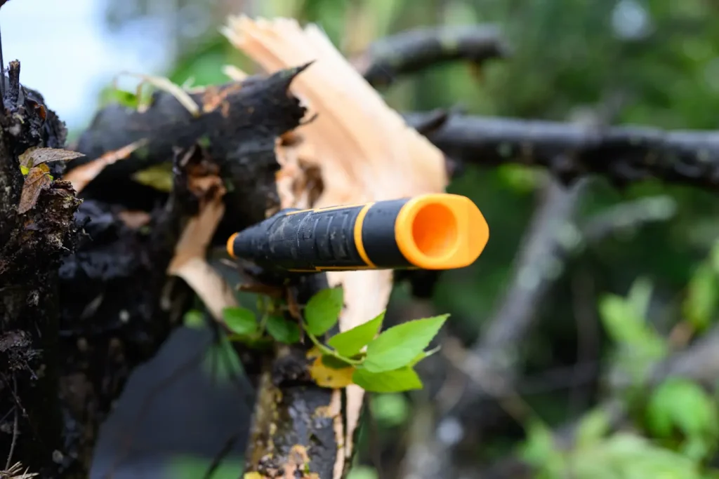 A saw stuck in the trunk of a fallen tree after typhoon Tino up-rooted trees in the Philippines. 