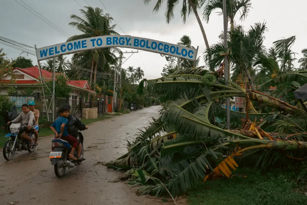 Scooters in the Philippines ride past some downed banana trees in Cebu after Typhoon Tino caused widespread damage. 