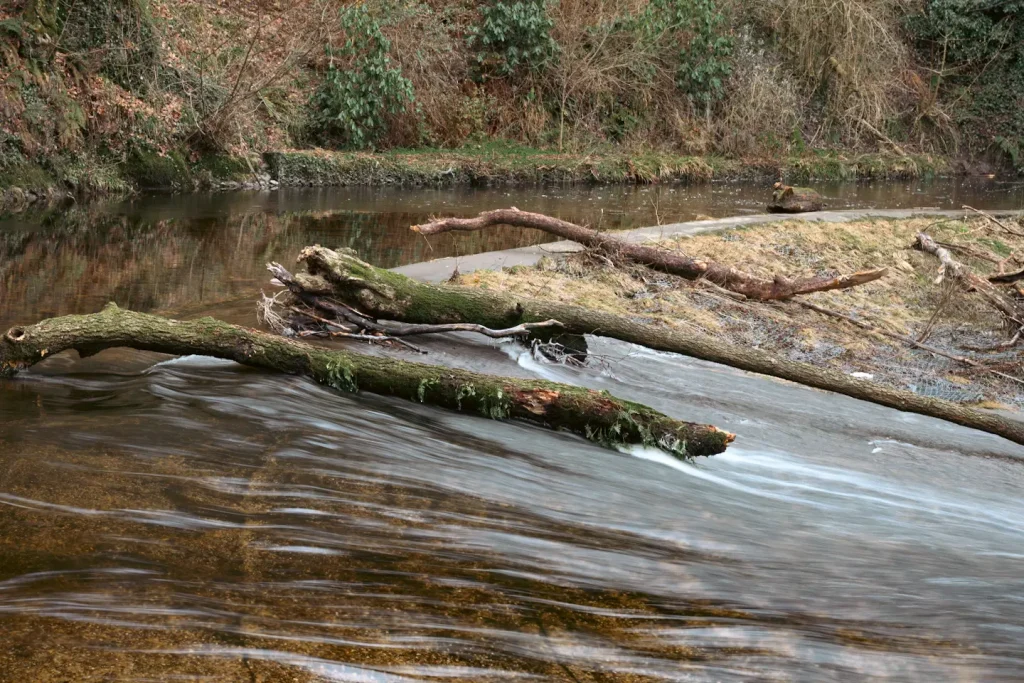 A large tree branch sits on the edge of a weir in the Scottish highlands as water races past. 