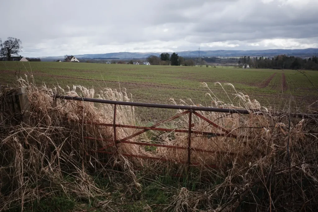 View over a farm gate towards Perthshire farmland on the edge of Crieff. Photo taken with a Ricoh GRIV compact camera. 