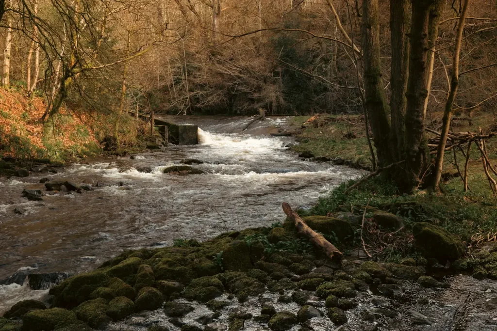 A Scottish burn running between woodland in Macrosty Park in Crieff, Scotland. Photo is taken on the Fuji 16-55mm f/2.8 II lens. 