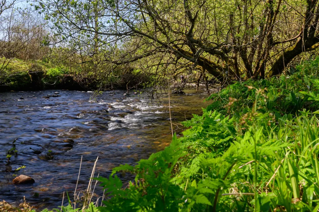 The same photo of the riverbank this time with a circular polarising filter attached to show the effects. 