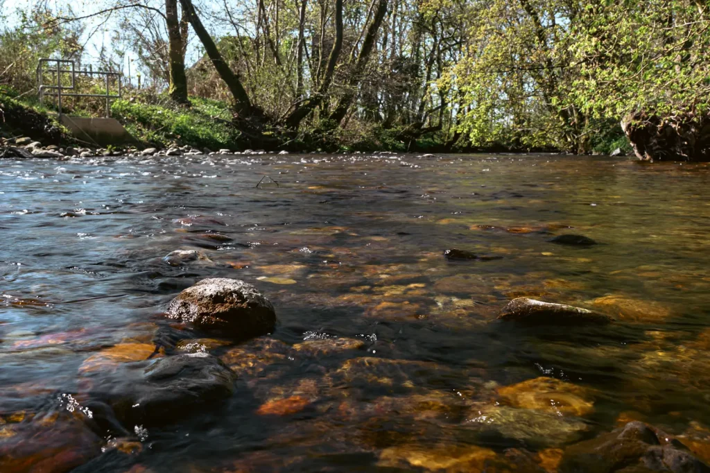 A photo taken on the River Earn using a Nikon Z8 and a circular polarising filter to show the effect on cutting reflections in the water. 