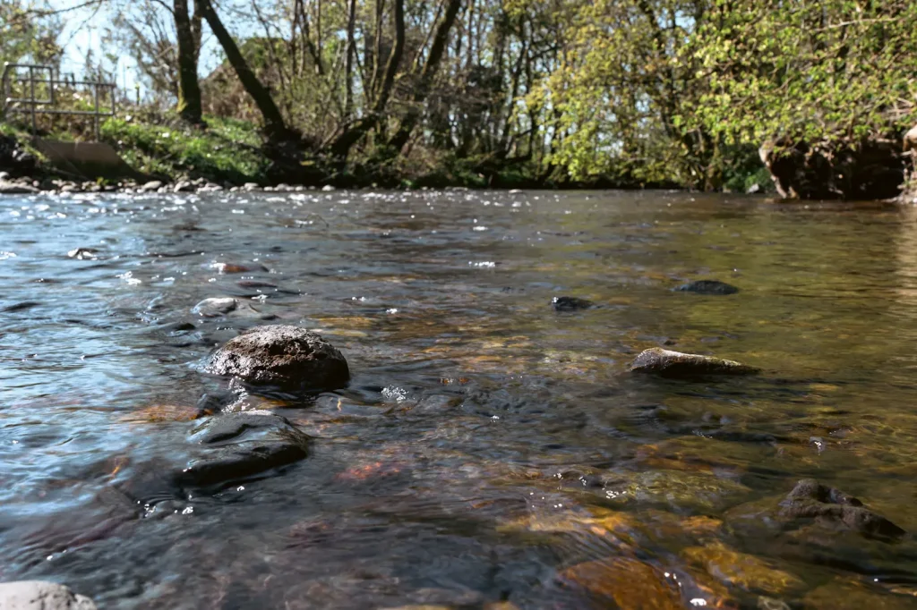 A photo of rocks in the River Earn in Crieff, Scotland taken on a Nikon Z8 camera with no circular polarising filter attached. 