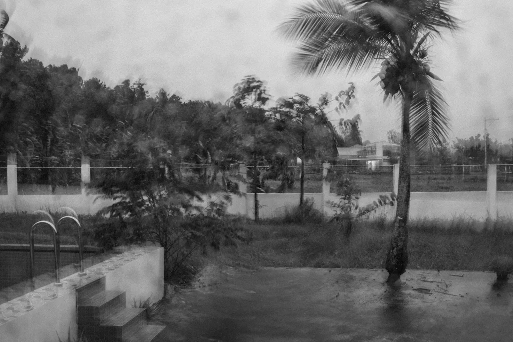 A black and white photo showing coconut tress blowing in the build up to a typhoon in the Philippines. Image was taken on a Nikon Z8 camera. 