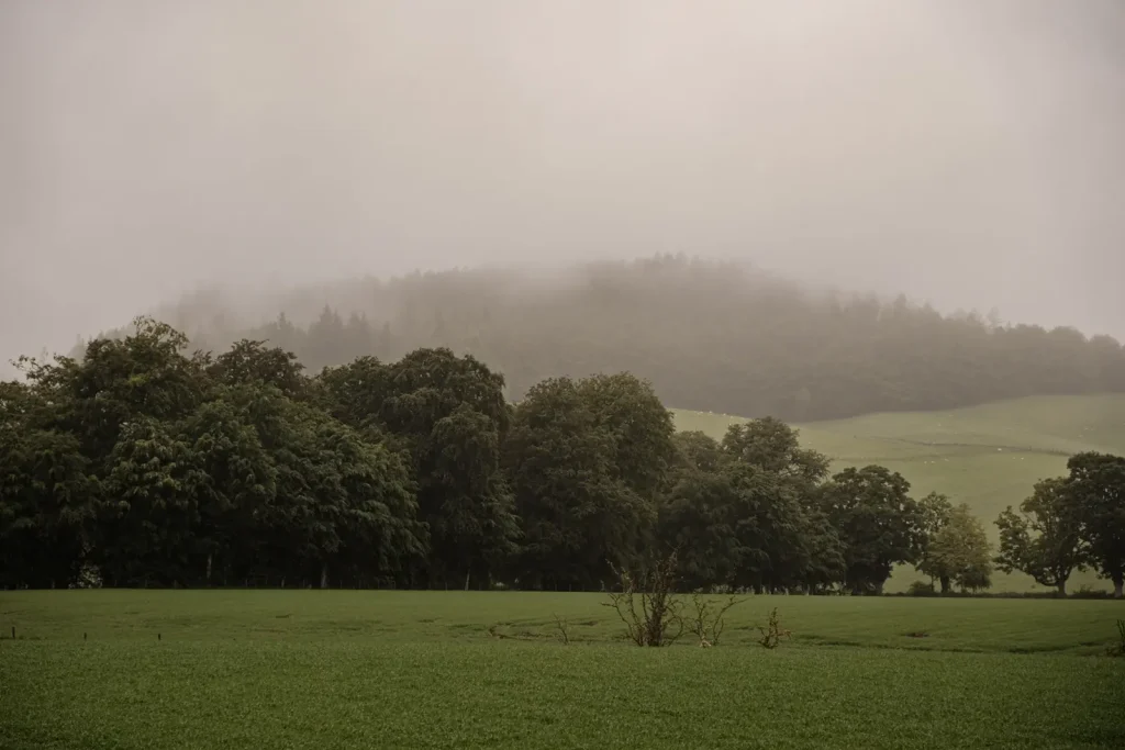 Pethsire farmland showing green trees and cloud covered hills in the background. Photo taken on the Fuji X-T5 and Fujifilm 18mm 1.4wr lens.