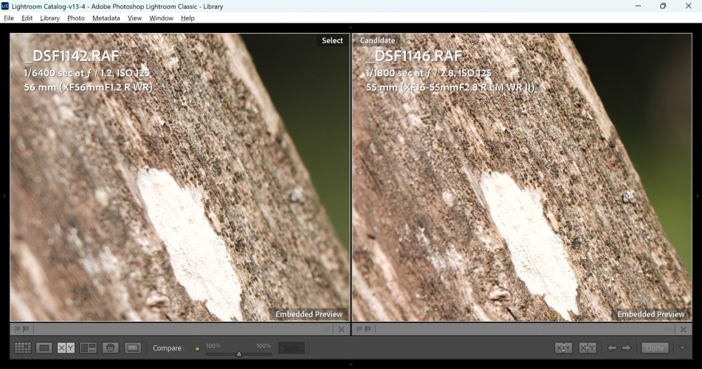 The same comparison shot as the above image, this time zoomed in to 100% in order to see the differences in sharpness more clearly.