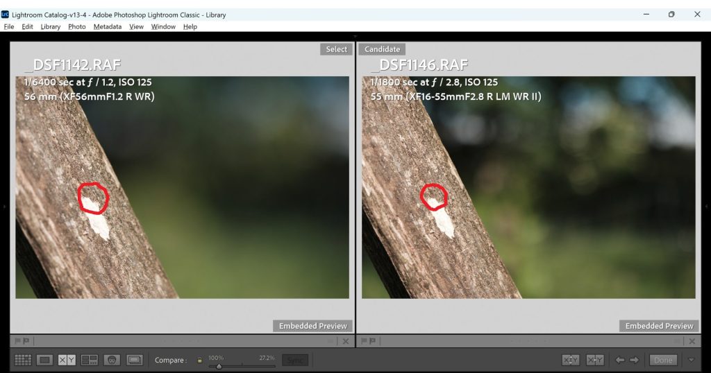 A photo of a test shot from both the Fuji 16-55mm f/2.8II and Fuji 56mm 1.2WR with the point of focus highlighted with a red circle.
