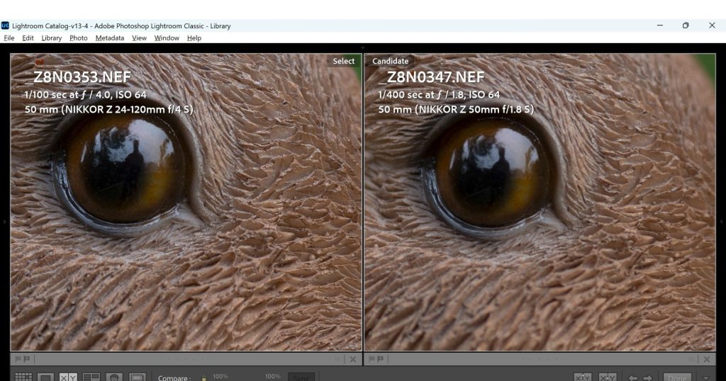 A 100% crop of images shot at their largest apertures from both the Nikon Z 24-120mm f/4 and Nikon Z 50mm 1.8S lenses. Both images are compared in Lightroom's comparison module side by side.