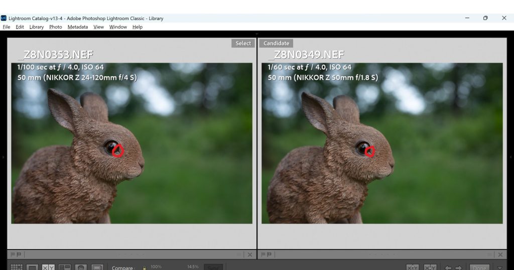 A screenshot of a comparison in Adobe Lightroom of a photo taken with the Nikon Z 24-120mm f/4 and Nikon Z 50mm 1.8S of a portrait subject to test sharpness at very close focusing distances. This image has 2 red circles marking the focus point of each shot.