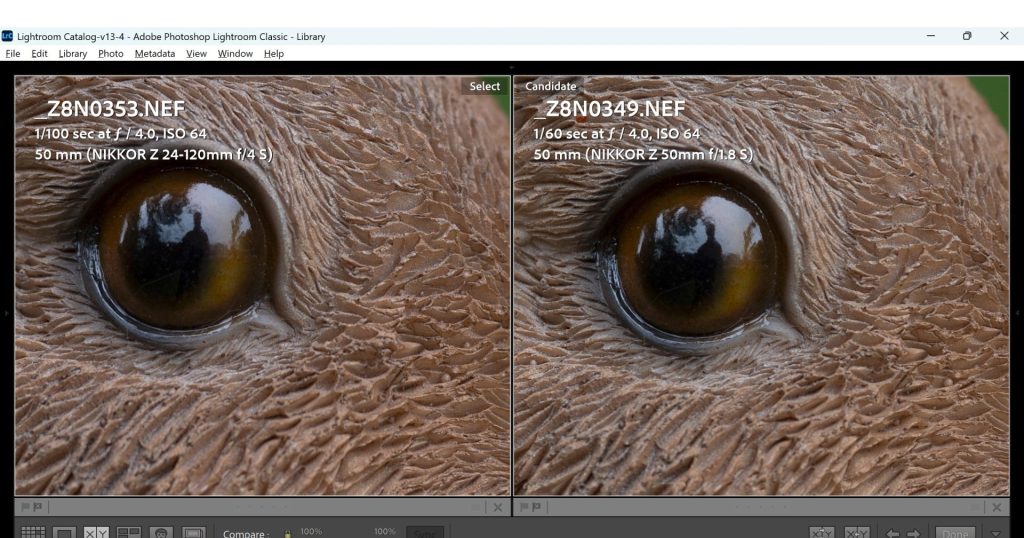 100% Crops of the above images to show a comparison of the sharpness of each lens at an aperture of f/4.