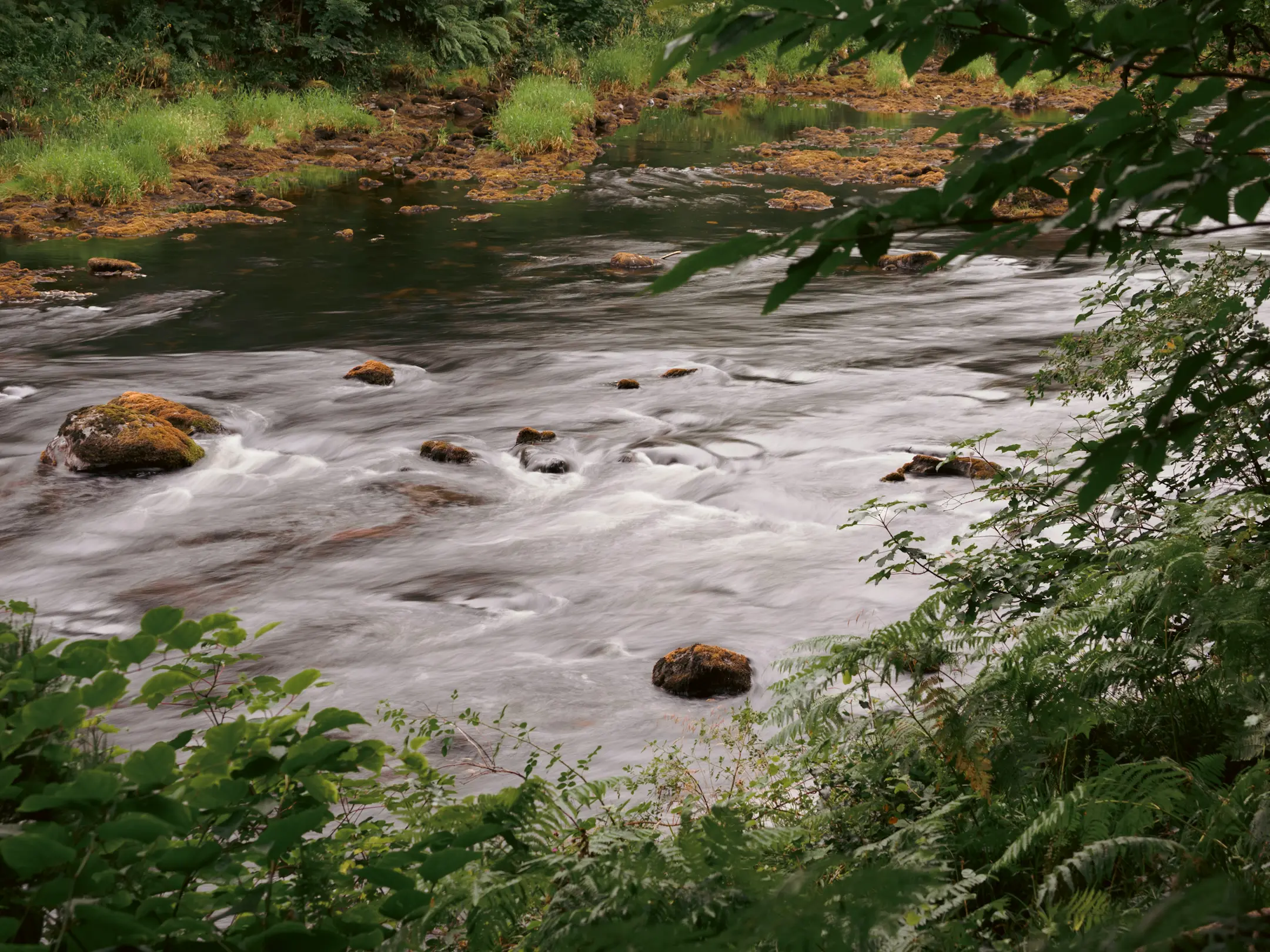 A photo fo the River Earn in Crieff Scotland.