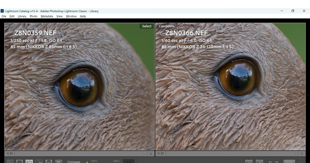 A 100% crop of the above comparison image between the Nikon Z 85mm 1.8S and the Nikon Z 24-120mm f/4S shot wide-open in order to show the difference in sharpness between both lenses. 