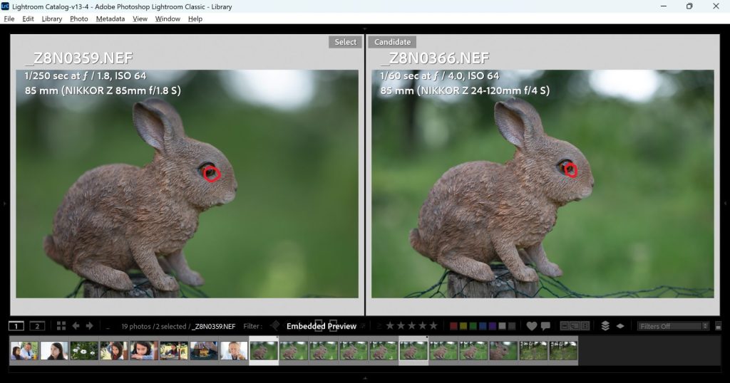 A comparison photo of the same subject from both the Nikon Z 85mm 1.8S and the Nikon Z 24-120mm f/4S. Both lenses are shot wide-open at their largest aperture and the photos are marked up to show the point of focus. 