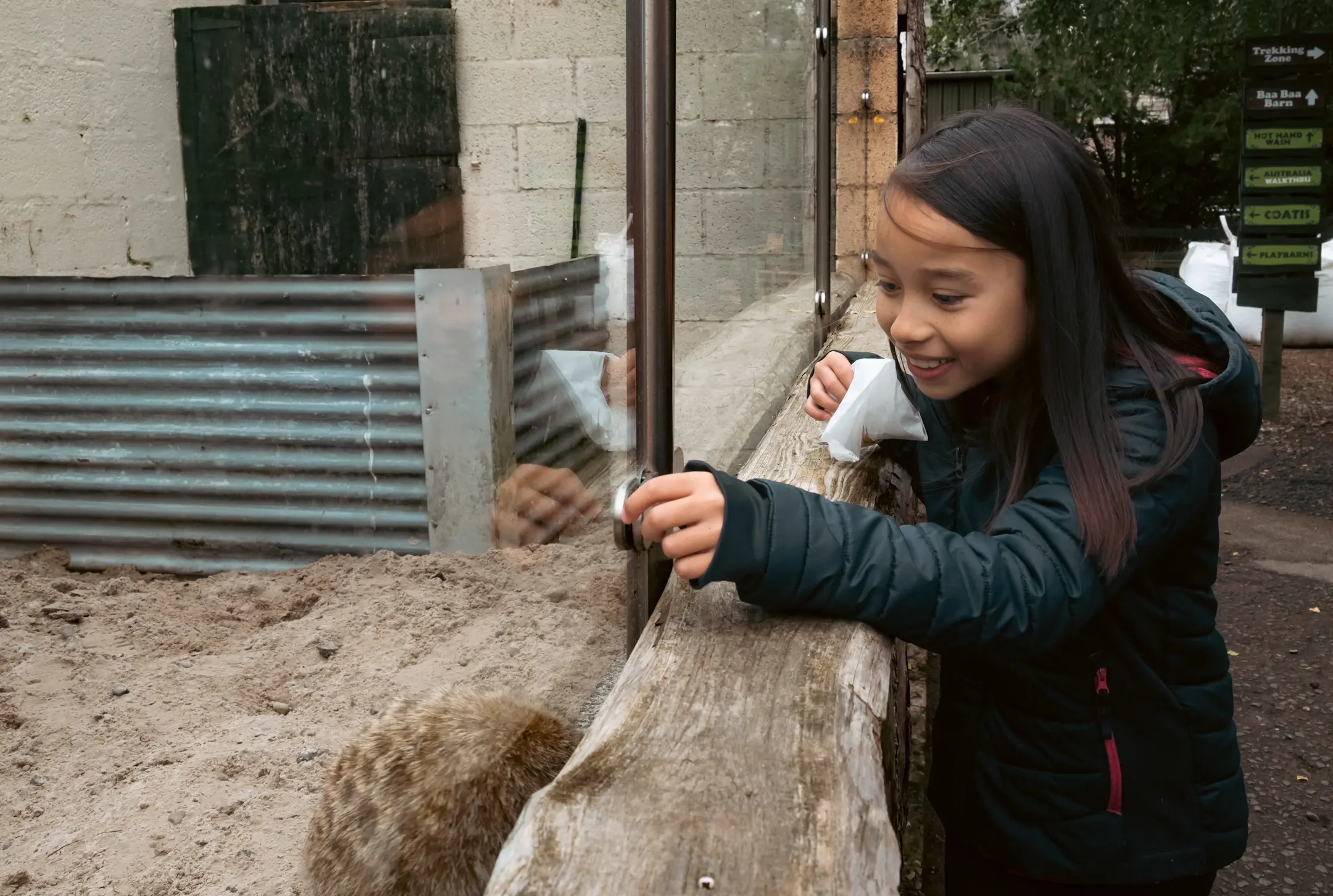 A young girl touching the glass of a Meerkat enclouse at Auchingarrich wildlife park in Comrie, Scotland.