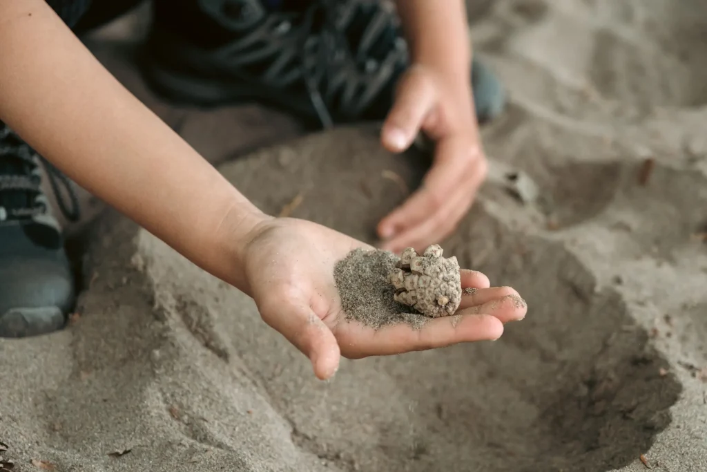 A young girls hand playing with a handful of sand and a pine cone cupped in her palm. This photo is a close-up of the girls hand and sand beneath it.