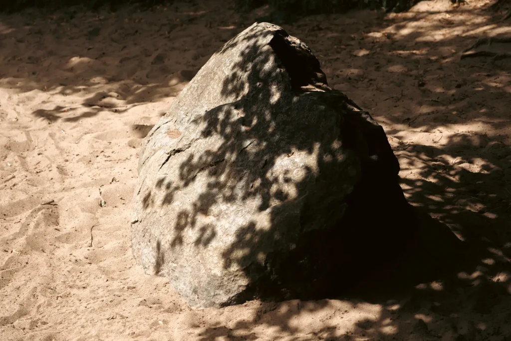 Birght sunlight casts the shadow of tree leaves on to a large rock next to the river Earn.