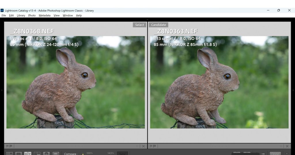 The difference in field of view between the Nikon Z 85mm 1.8S and Nikon Z 24-120mm when shot at an indicated 85mm focal length. 