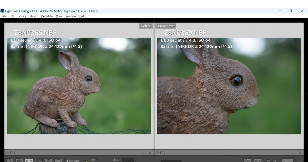 Two comparison photos showing the difference between the Nikon Z 85mm 1.8S' minimum focus distance and the minimum focus distance of the Nikon Z 24-120mm f/4S. 