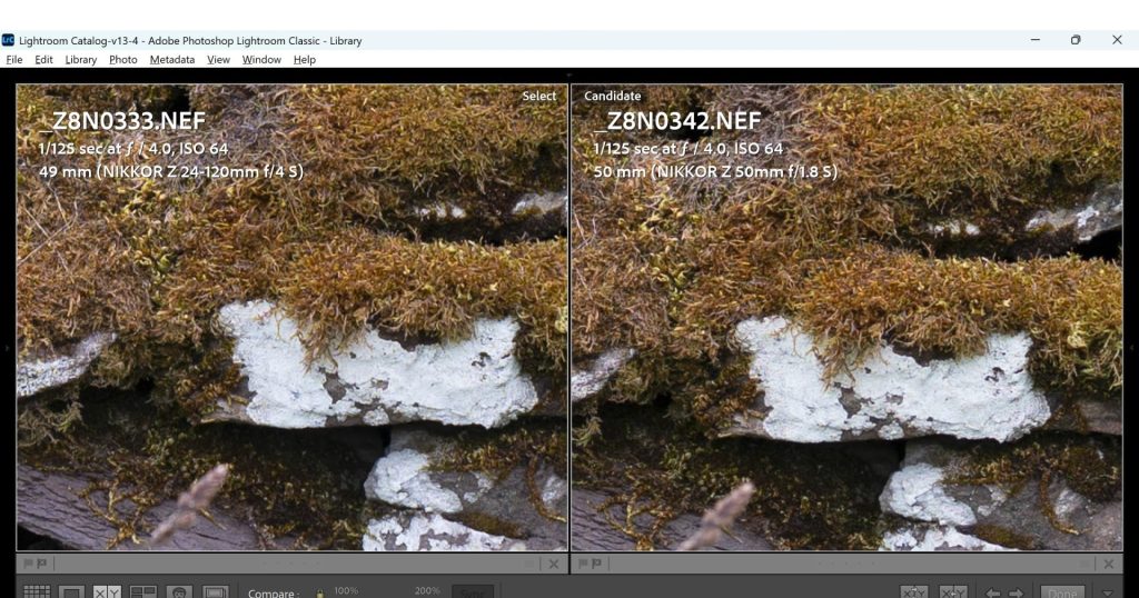 Both test shots now taken at f/4 on both lenses. This is a screenshot of the images zoomed in to 200% in Adobe Lightroom's comparison tool.