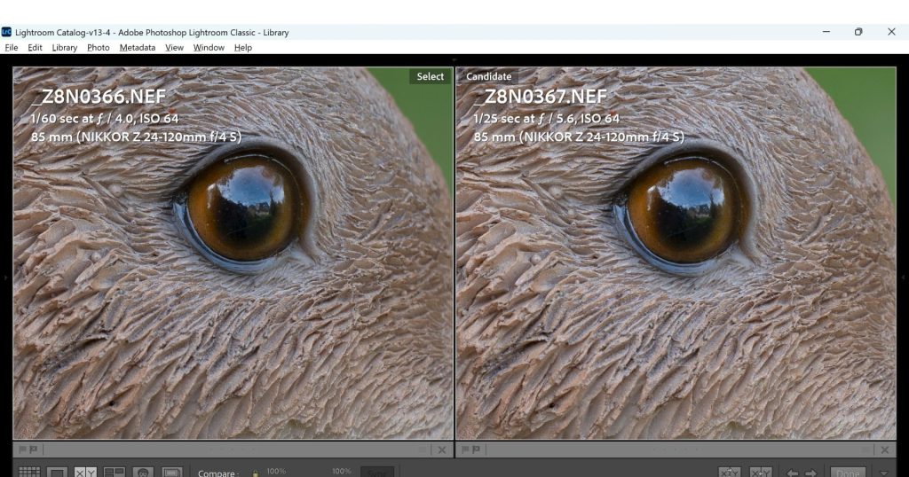 Comparison of the Nikon Z 24-120mm f/4S lens shot at f/4 and f/5.6 in order to determine lens sharpness at different apertures. 