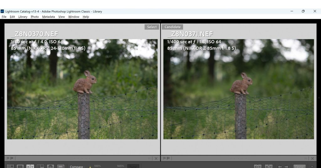 A comparison of the Nikon Z 24-120mm f/4s shot at the 85mm focal length and the Nikon Z 85mm 1.8S lens. Both lenses are shot at their largest aperture in order to show the difference in depth of field. 