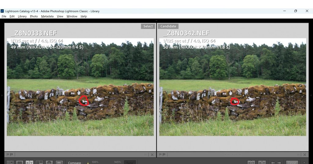 A comparison of photos taken on the Nikon Z 24-120mm f/4s and the Nikon Z 50mm 1.8S of the same subject with the focus point highlighted with a red circle. The subject is a dry stone wall.