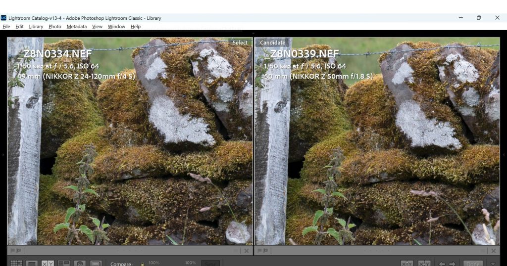 100% crops in Lightroom's comparison tool of the extreme edge sharpness of both the Nikon Z 24-120mm f/4s and Nikon Z 50mm 1.8S shot at an aperture of f/5.6.