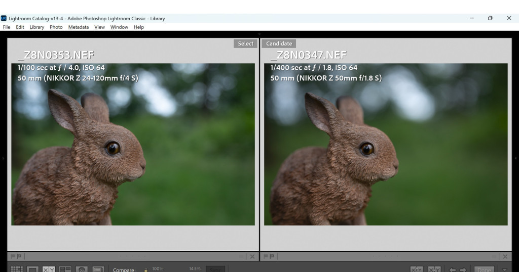 A comparison of a portrait subject shot at f/4 on the Nikon Z 24-120mm f/4 and at f/1.8 on the Nikon Z 50mm 1.8S.
