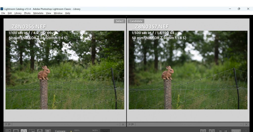 A comparison of images shot wide-open on the Nikon Z 24-120mm f.4 lens at f/4 against the Nikon Z 50mm 1.8s lens shot at f/1.8. This is shot at a standard portrait distance in order to show the real world difference that a larger aperture can make to bokeh and subject separation.