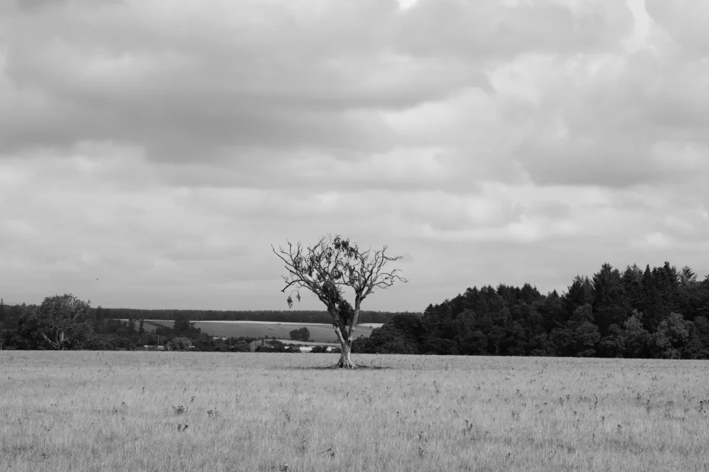 Summer Update 2026 - The Cotswold Photographer