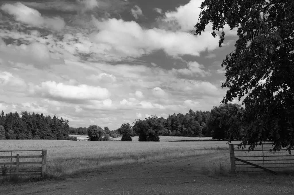 A gallery of balck nd whit eimages taken from a week spent with a camera in rural Scottish life. 