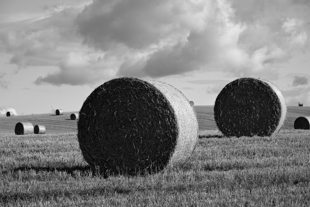 A black and white photo of bales of hay in a perthshire field in Scotland.