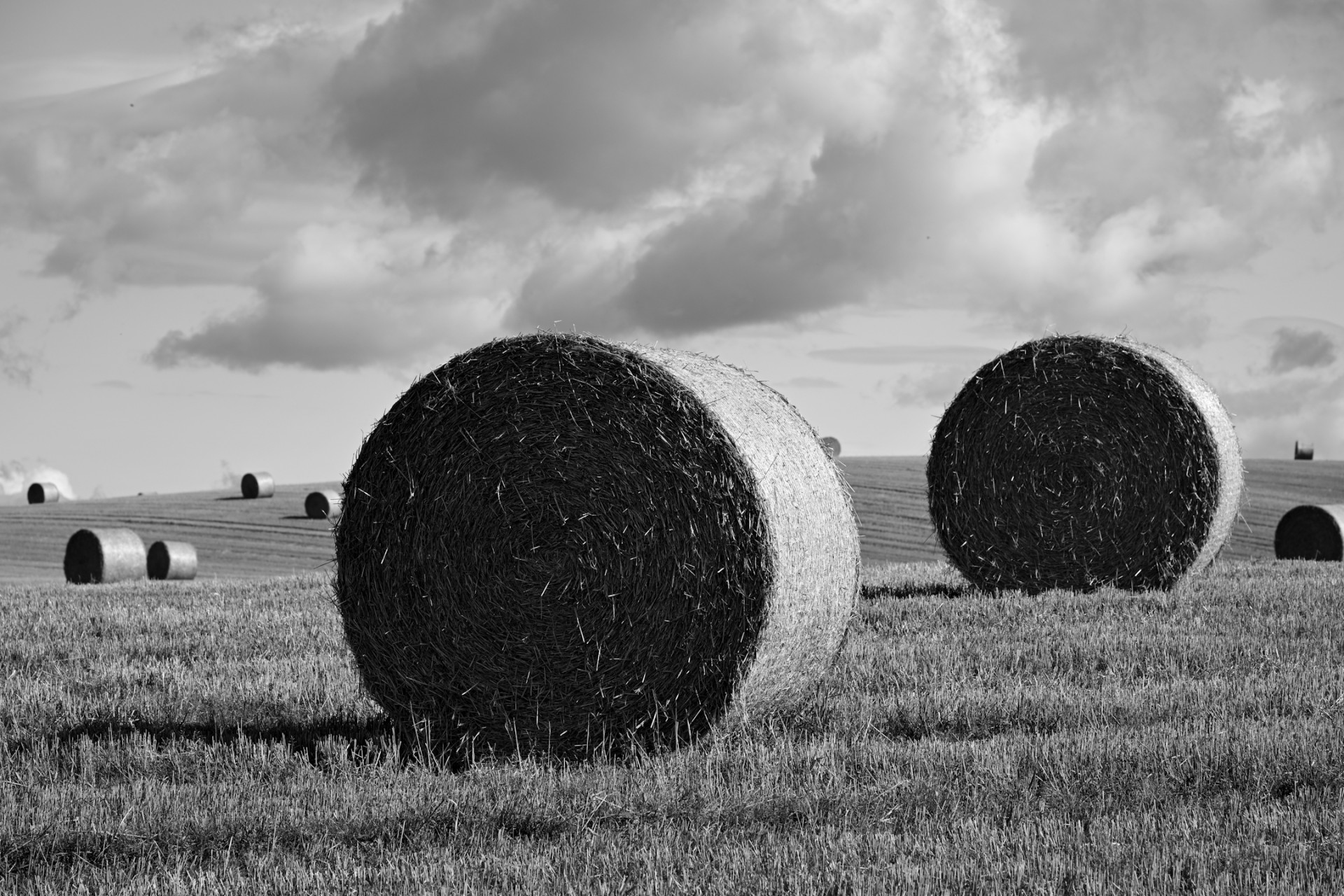 A black and white photo of bales of hay in a perthshire field in Scotland.