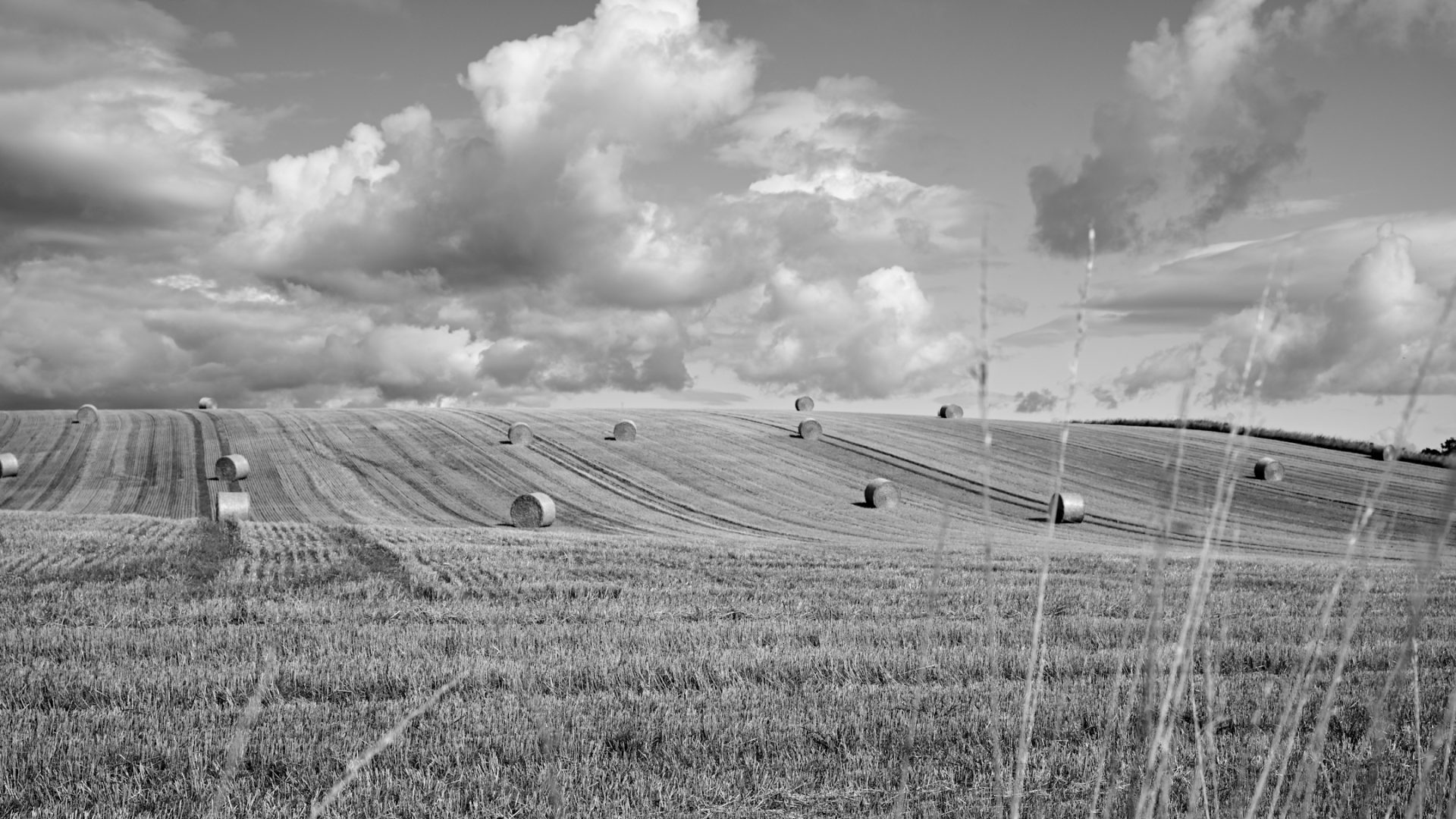 A black and white photo of bales of hay in a Perthshire field.