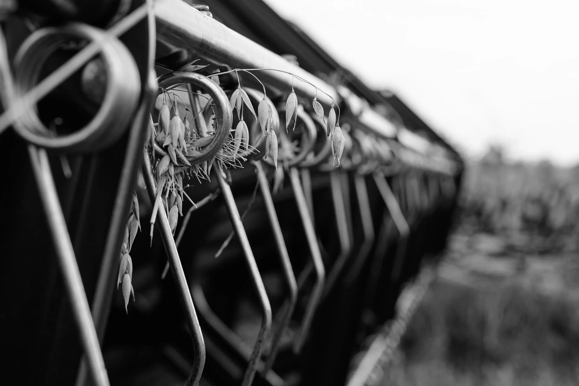 A close-up black and white photo of the front of a combined harvester in Scotland.